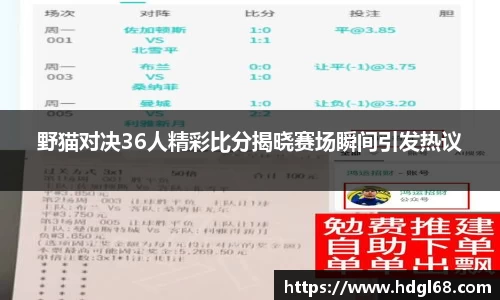 野猫对决36人精彩比分揭晓赛场瞬间引发热议